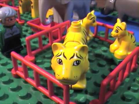 Where is the tiger.m4v