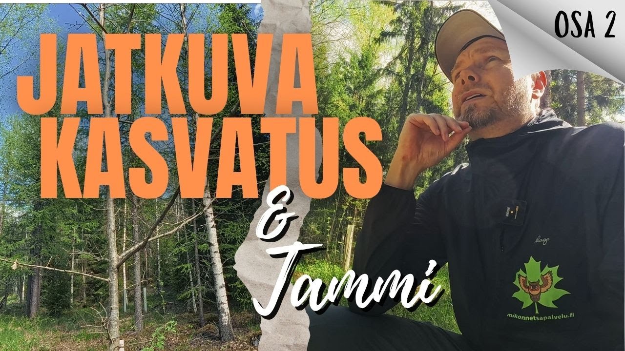 Jatkuva kasvatus ja Tammi (osa 2)