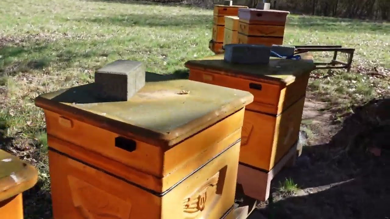 6   2025 Spóźnione poszerzanie gniazd i ramka pracy