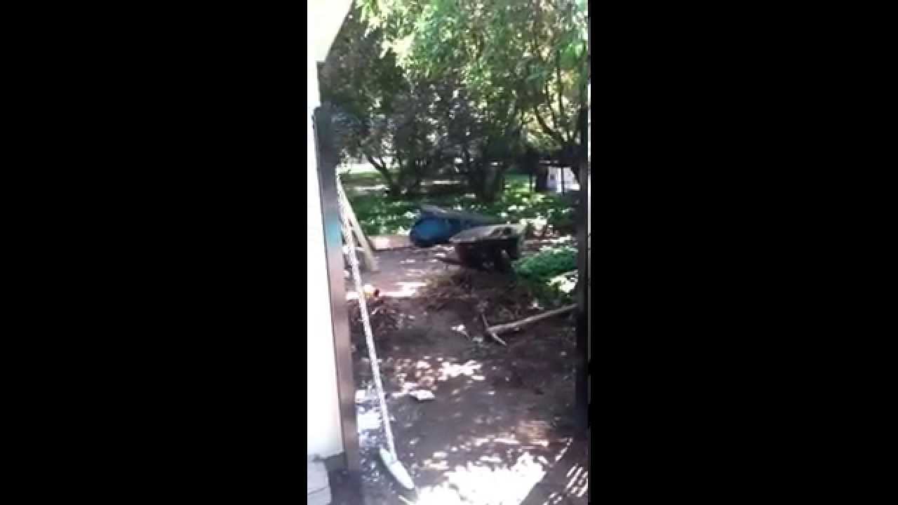 Fencing Contractors In Rockland New York-Fencing contractors,NJ