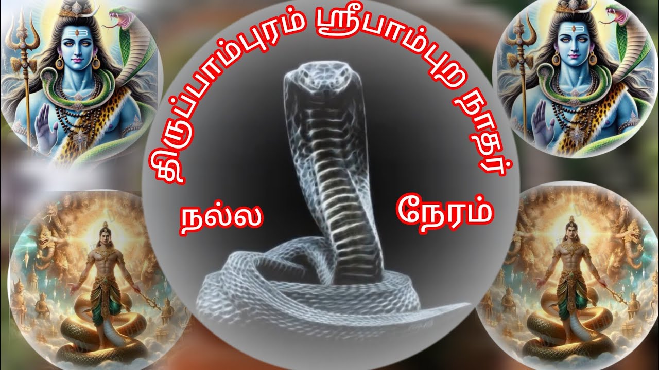நல்ல நேரம் நடந்தால் மட்டும் தான் இங்கு வர முடியும் கெட்டநேரம் இருந்தால் அங்கு கால் கூடவைக்க முடியாது