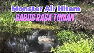 Spot Air Hitam Yang Selalu Dicari Pemancing  Casting Gabus 