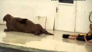 Entrenando en la piscina con la monitora (para mantenerme en forma).