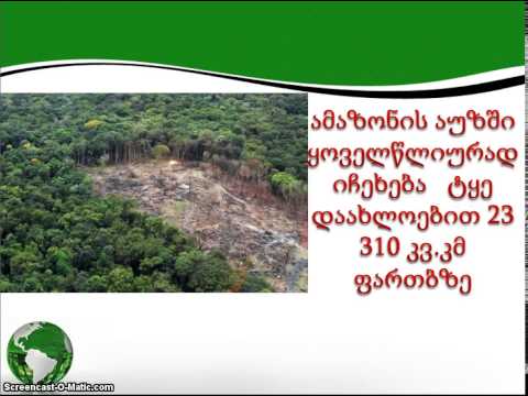 ეკოლოგიური პრობლემა