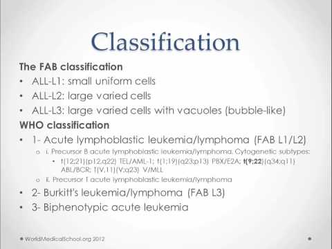 Acute Lymphoblastic Leukemia