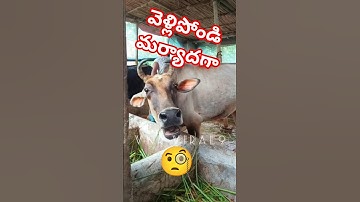 But you are welcome🧐