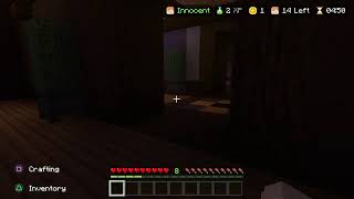 Playing Minecraft