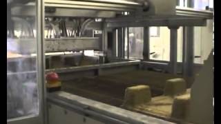 201310 Inmaco Pulp Moulding Machine MT250 producing pallets