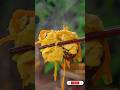Taste of China | Easy & Delicious Chinese Recipes #food #cooking #asmr #mukbang #shorts #viral