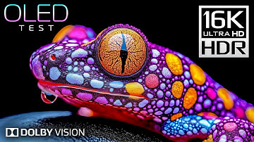 OLED Test - 16K VIDEO ULTRA HD | 16K HDR Dolby Vision (4K/8K TV)