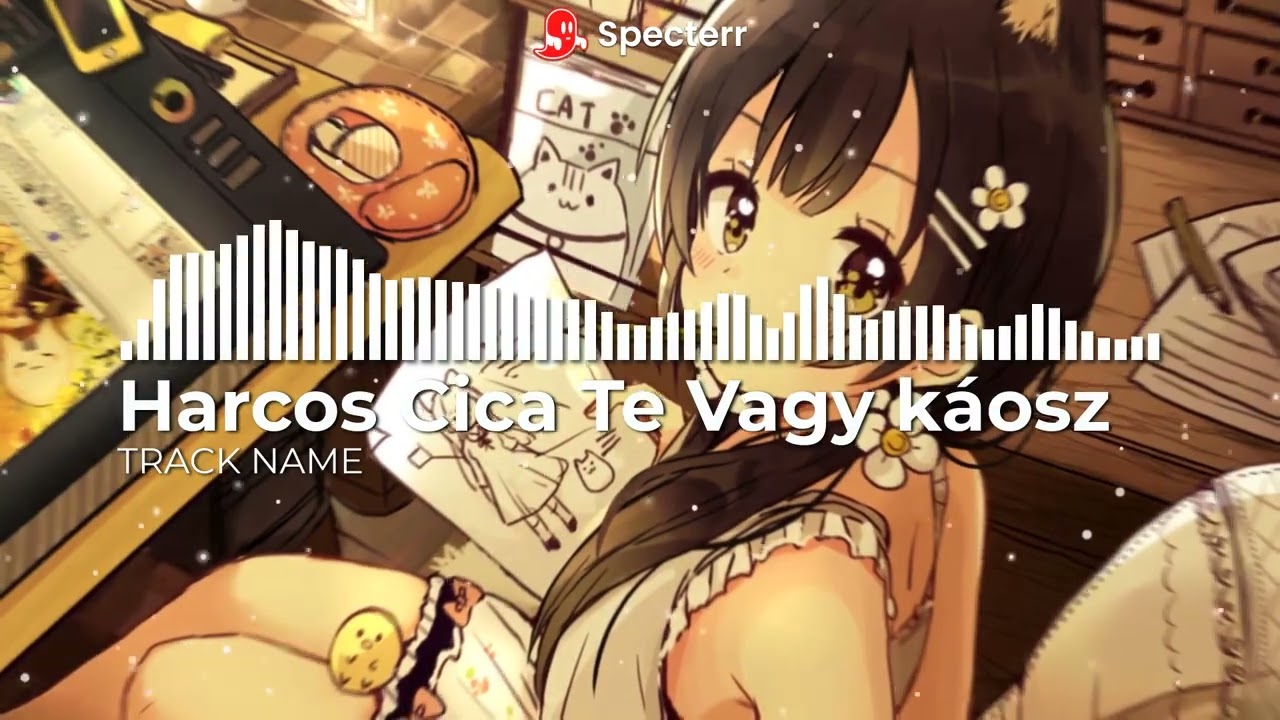 Harcos Cica Te vagy káósz Főműsorom