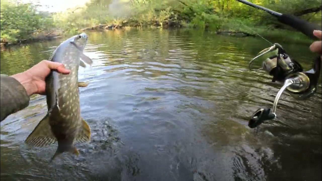 Fishing 10. Fishing 10