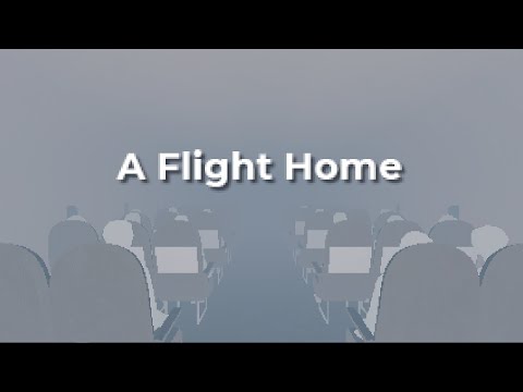 НИКТО не говорит про эту игру | A Flight Home