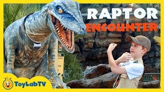 Jurassic World Raptor Adventure with Giant Dinosaurs & T-Rex for Kids at Universal Studios Hollywood