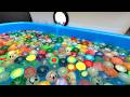 Water Marble Run ⭐ ASMR featuring water flowing through a two-tone tank and beautiful marbles.
