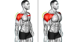Dumbbell Shoulder Workout: Top 5 Exercises for Strong