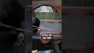 Famous RAVENS ARE VERY INTELLIGENT #shorts #joerogan Profile