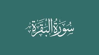 Surah Al-Baqarah || Recited by Al Husayni Al Azazi || Beautiful Recitation || سورة البقرة