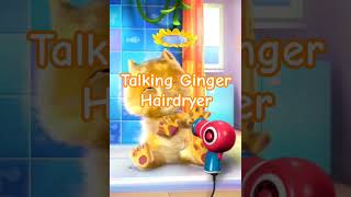 Talking Ginger Hairdryer Echo 37777, 37778, 37779, 37780, 37781, 37782, 37783, 37784, 37785 & 37786