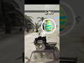Hidden Easter Egg in Crab Cove beach buggy racing Hidden Easter Egg in Crab Cove beach buggy racing