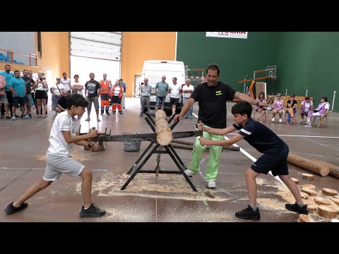 Corte de tronco con sierra en San Leonardo de Yagüe - 2023