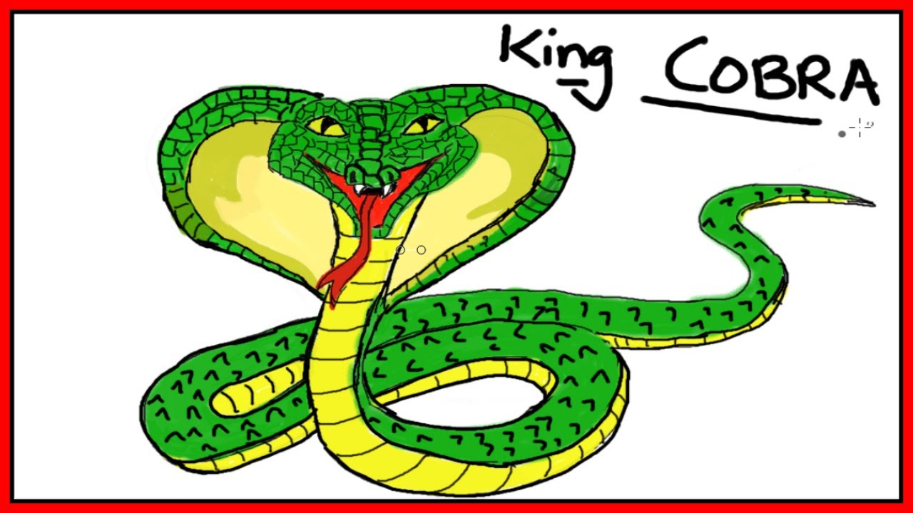 King Cobra Drawings For Kids