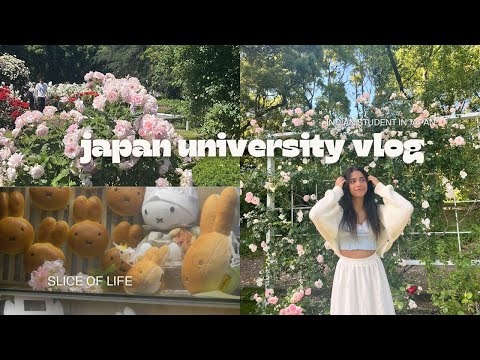 Japan vlog 𐙚₊˚♡ daily life of student in Japan 🐈⬛ ྀིIndian student in japan