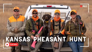 Kansas Pheasant Hunting With A Young German Shorthaired Pointer