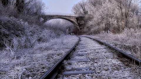 Prelude No.3 in E Minor / Robert D. Vandall