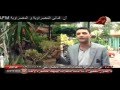 احمد عامر مع السلامة احمد عامر مع السلامة