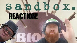 BUBBLES Was in a Band!!! Sandbox - Curious (Reaction!)