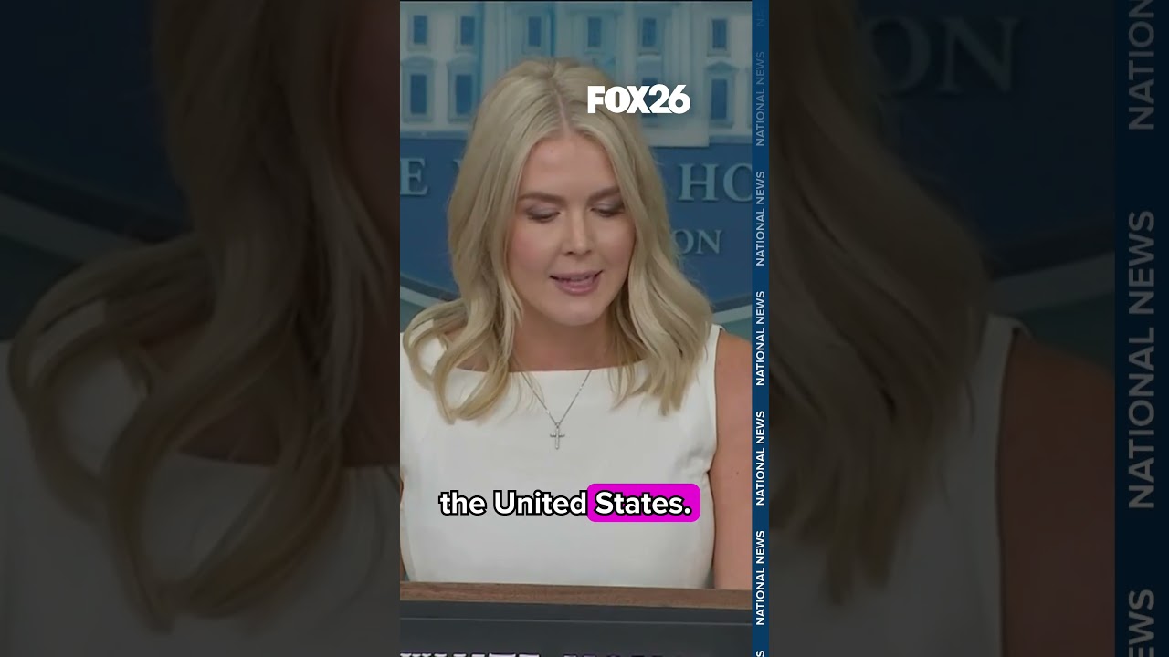 Karoline Leavitt excoriates 'left-wing' media