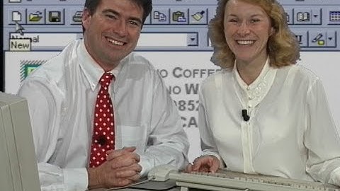 SOFTVISION - How To Use Microsoft Windows 3.1 Part 2 Flashback