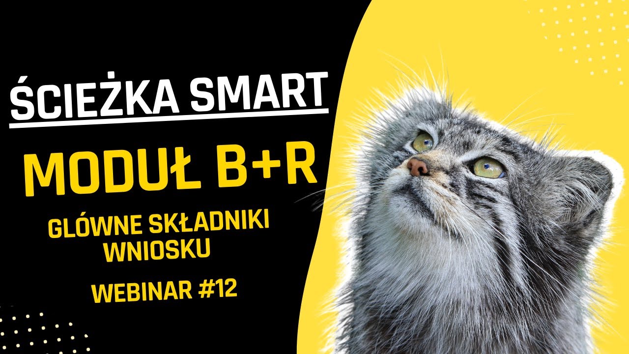 WEBINAR #12 LIVE: FENG ŚCIEŻKA SMART – Główne składniki wniosku - YouTube