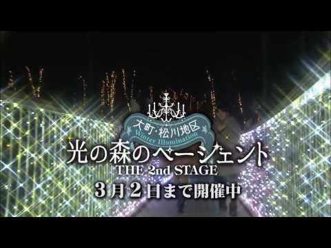 国営アルプスあづみの公園イルミネーション「光の森のページェントSnowPrincess」 ショートバージョン