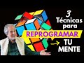 ✅ 3 tecnicas para reprogramar la mente | 🔴 BRUCE LIPTON en español