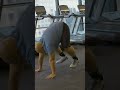 Spider-man star Jacob Batalon's weekly workout routine  #menshealth