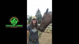 Week 9 | 2026 Trainers Challenge | Brookelyn & Cullen Keefe N 