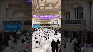 #AllahHuAllah #Allah #Zikr #IslamicShorts#IslamicReels #Deen #Muslim#SubhanAllah #Alhamdulillah