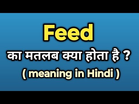 Feed Meaning in Hindi || Feed Ka Kya Matlab Hota Hai | Words Tube - YouTube