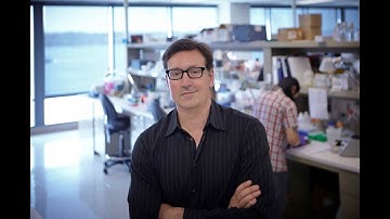 Scientist Stories: John Stamatoyannopoulos, High Resolution Maps of Regulatory DNA