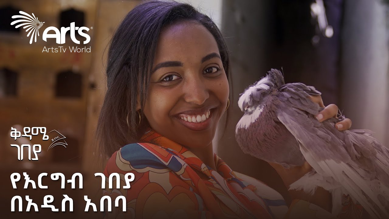 60 ሺ ብር የሚሸጥ ውብ እርግብ | አስገራሚ የእርግብ ገበያ | ቅዳሜ ገበያ @ArtsTvWorld