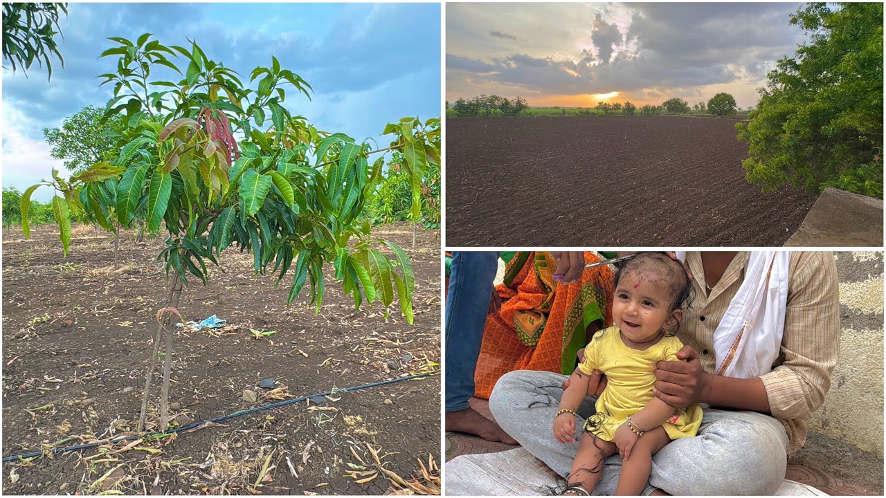 India Trip Vlog | Evening Farm Visit | Vibha’s First Hair Cutting ceremony 