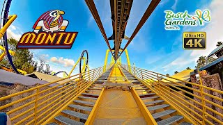 Montu Roller Coaster Front Row On Ride 4K POV Busch Gardens Tampa 2025 03 04