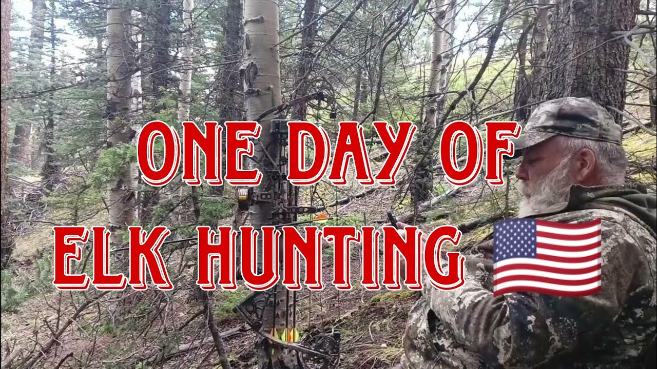 One day of elk hunting YouTube