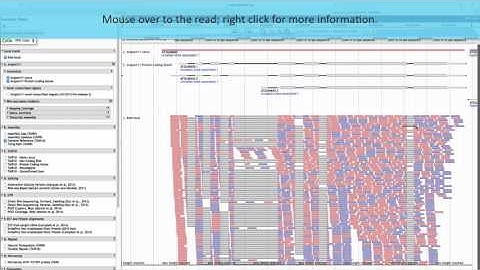 How to visualize your BAM file in a genome browser