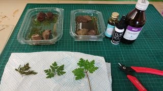 Preserving Plants with Glycerine (Frugal Wargames Foliage)