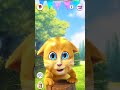 talking ginger gameplay funny cat video talkingtomversion talking ginger gameplay funny cat video talkingtomversion