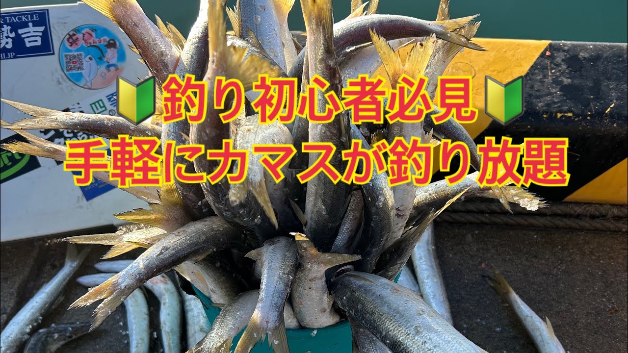 初心者でも入れ食いのカマス釣りが楽し過ぎ