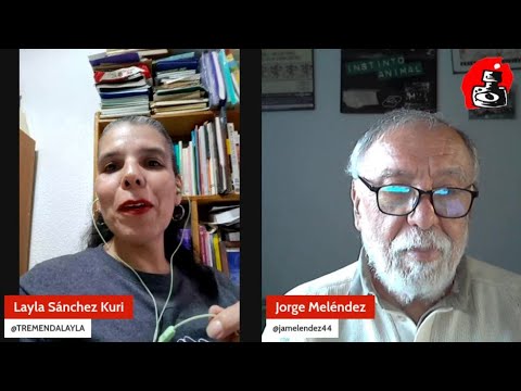 Layla Sánchez habla con Jorge Meléndez sobre el programa "Camina Segura"